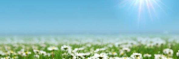 ColetteKilcarr's profile banner image