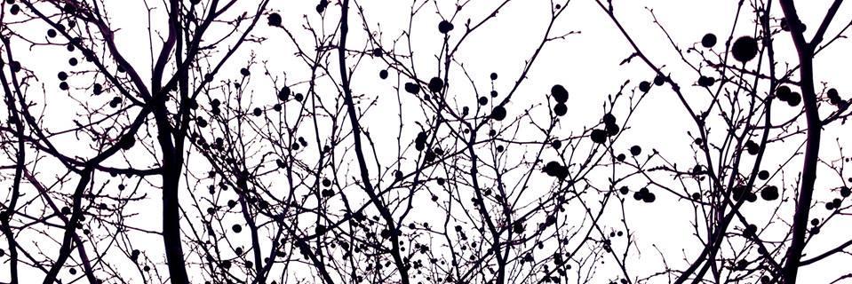 EricArrowin's profile banner image