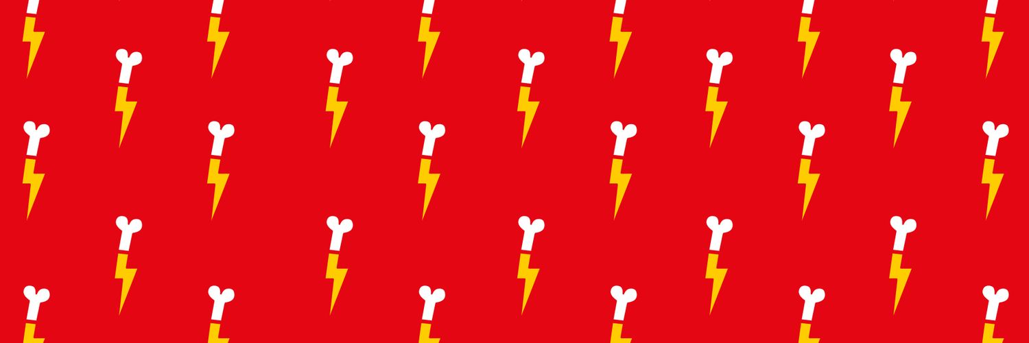 FlashBoneBags's profile banner image