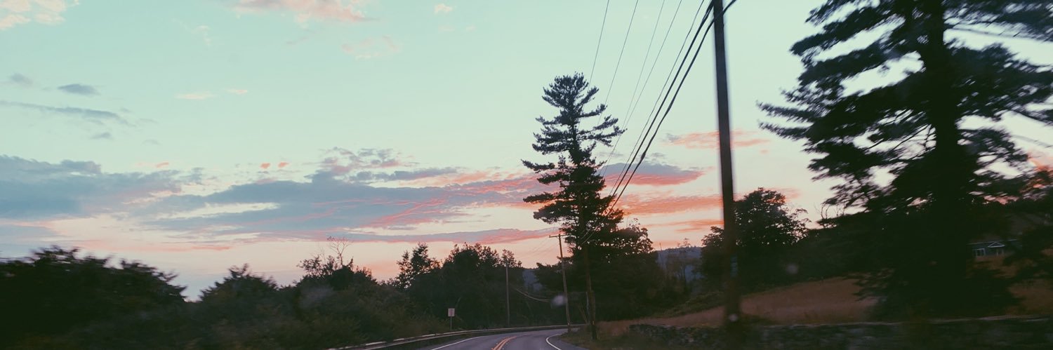 madison_roccio's profile banner image