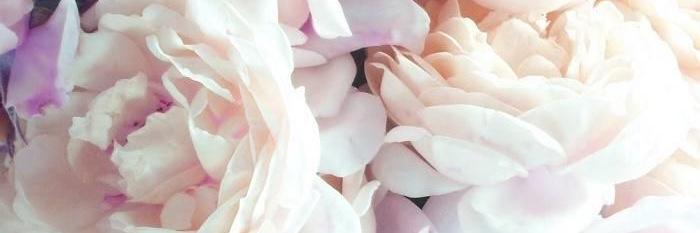 KimberleeeeF's profile banner image