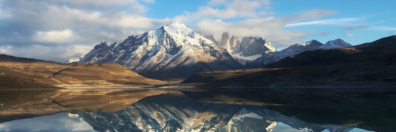 Alma Maldonado banner