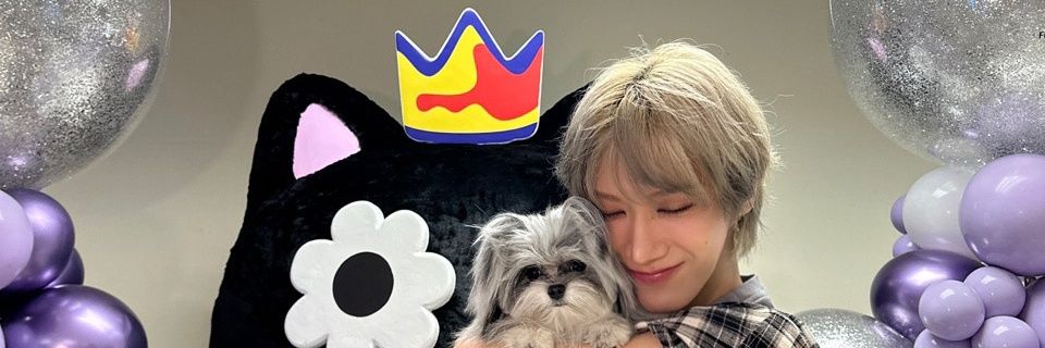 𝑚𝑖𝑙𝑑𝑚𝑒𝑙𝑜𝑑𝑦 ♡´･ᴗ･`♡ banner