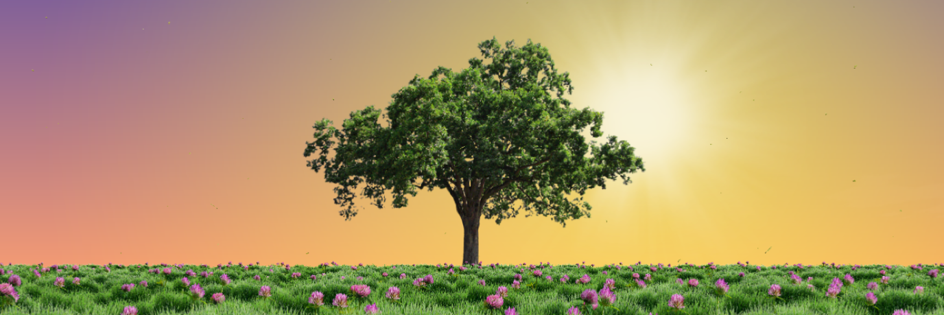 cdiesveld's profile banner image