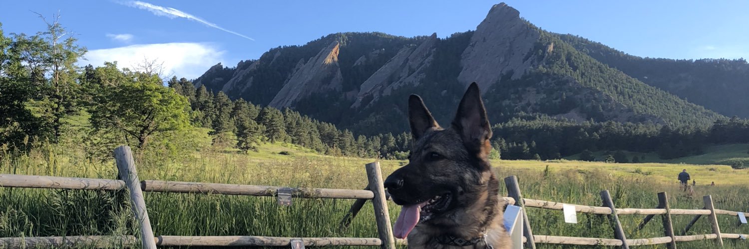 SlimmShaedyy's profile banner image