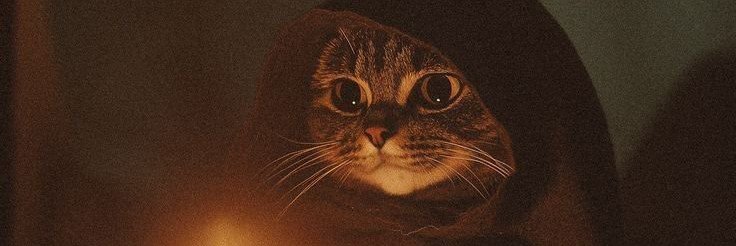 eclipshin's profile banner image