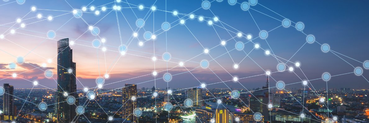 Singer Vielle banner