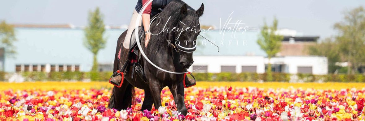 🅢🅐🅑🅡🅘🅝🅐 banner