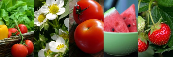 CompoKeeper Profile Banner