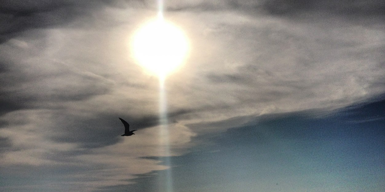 Dorreh Khatibi-Hill banner