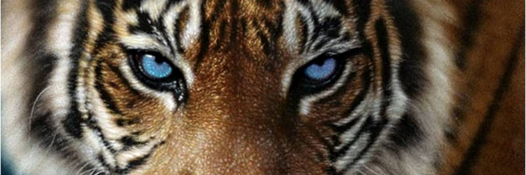 Parlayy_2's profile banner image