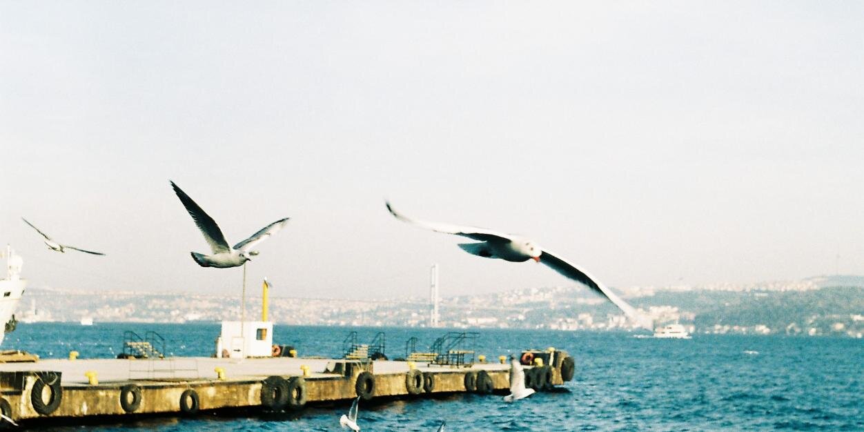 _MertBurak's profile banner image