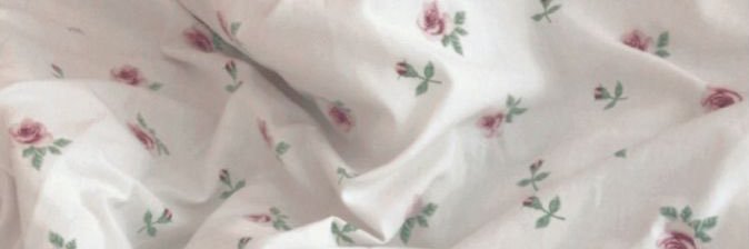 のあち🦭 banner