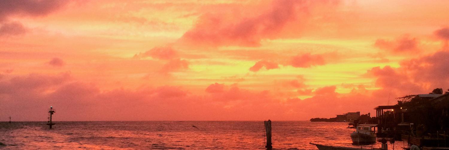 Divadriaa's profile banner image