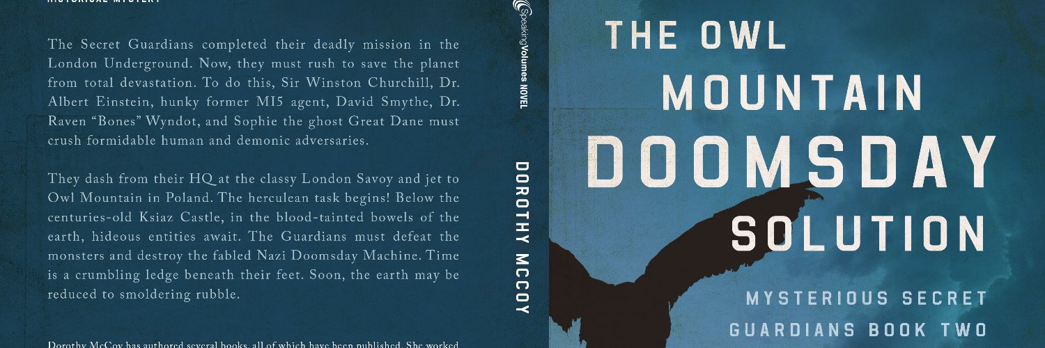 Dr. Bones McCoy banner