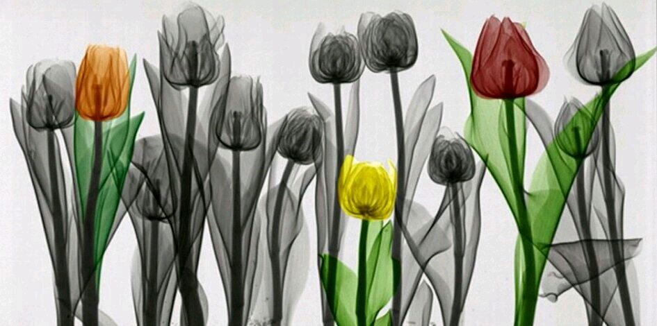gemacorbividal's profile banner image