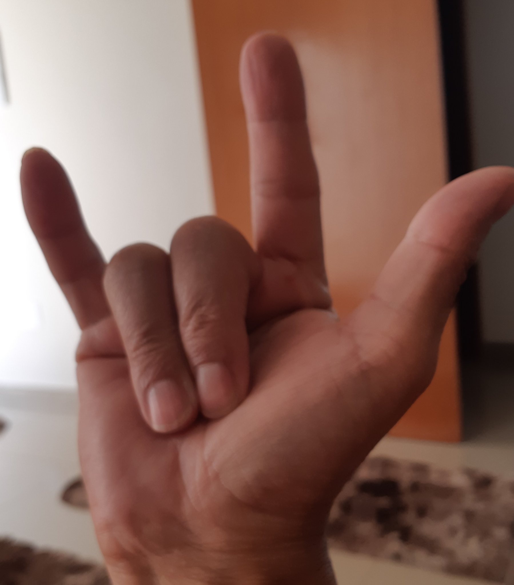 BernardeNilson's profile banner image