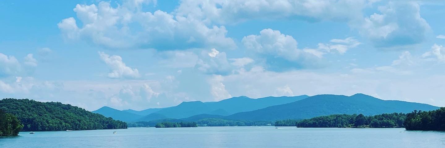 Diana Ferguson banner