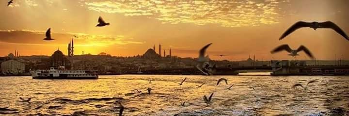 GYILMAZ23's profile banner image
