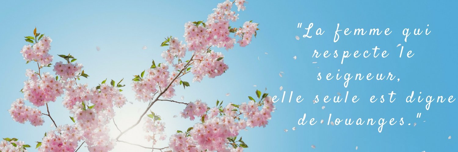HolyMayFlower's profile banner image