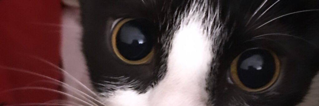 santicirri's profile banner image
