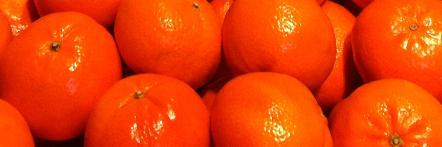 Sinastweet's profile banner image
