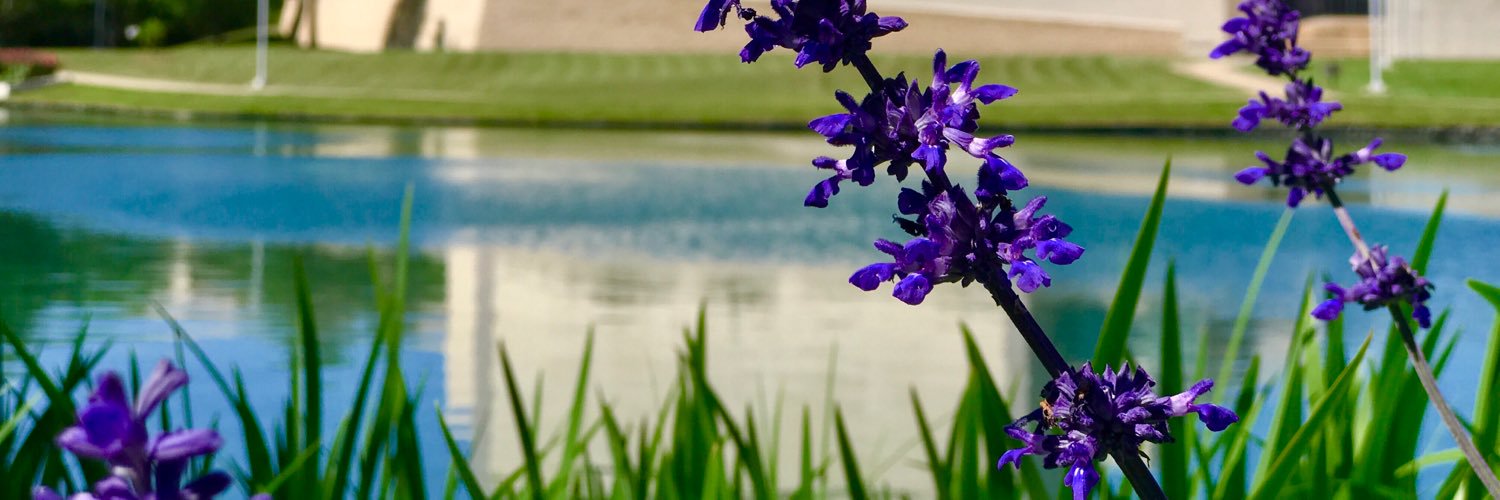 crazywazyj's profile banner image