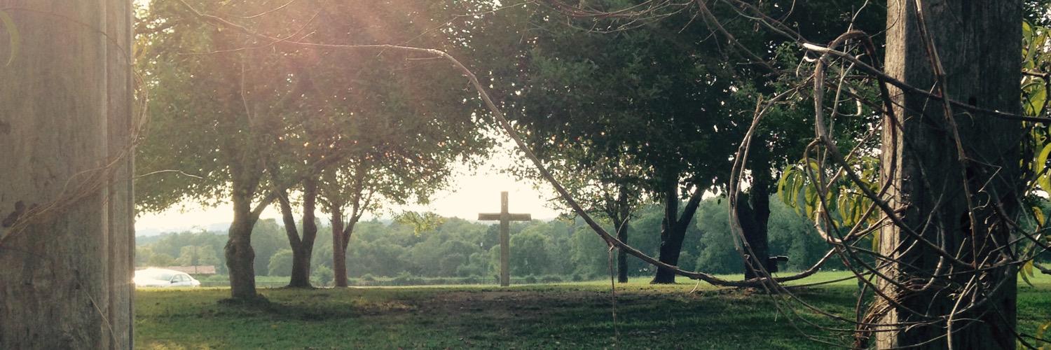 CandiStewart5's profile banner image