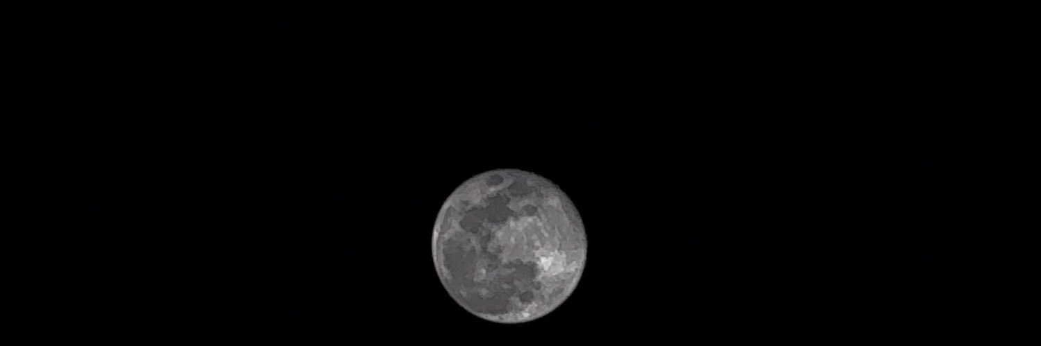ElafAyoub's profile banner image