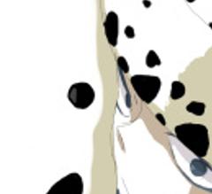 bump2480's profile banner image