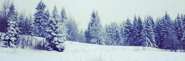 Steffi Hardy banner