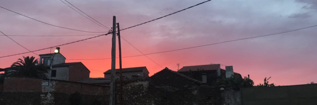 pelomercadona's profile banner image