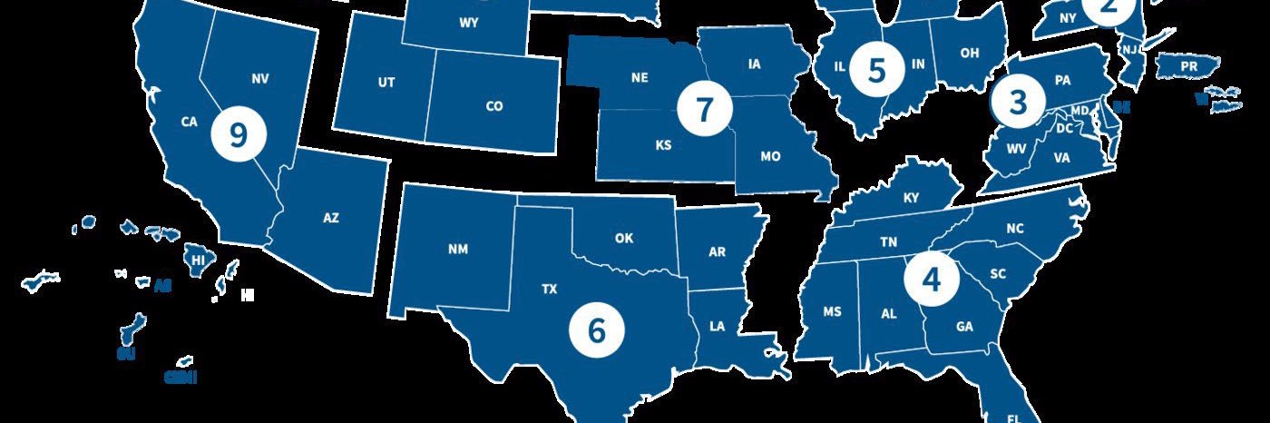 Hairball Logic 🫶🏻🇺🇸💜 banner