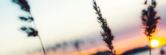 monmejim's profile banner image