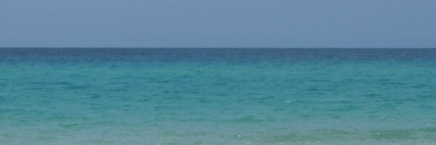 RobSpinelli's profile banner image