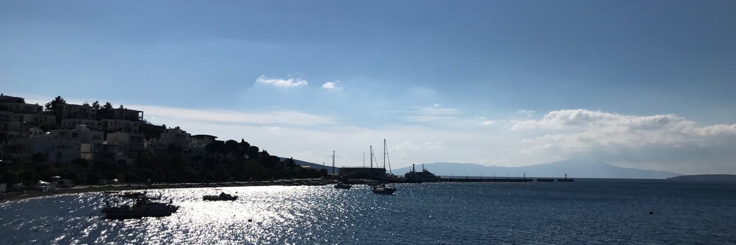 aysunnel's profile banner image