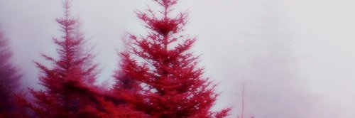 owsrobinson's profile banner image