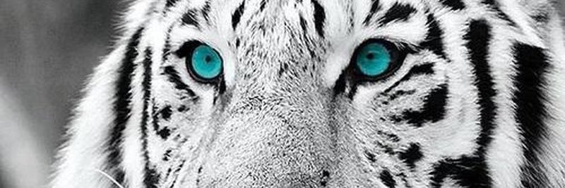 hady8sm's profile banner image