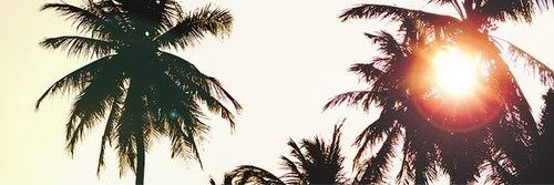 Jess MacDonald banner