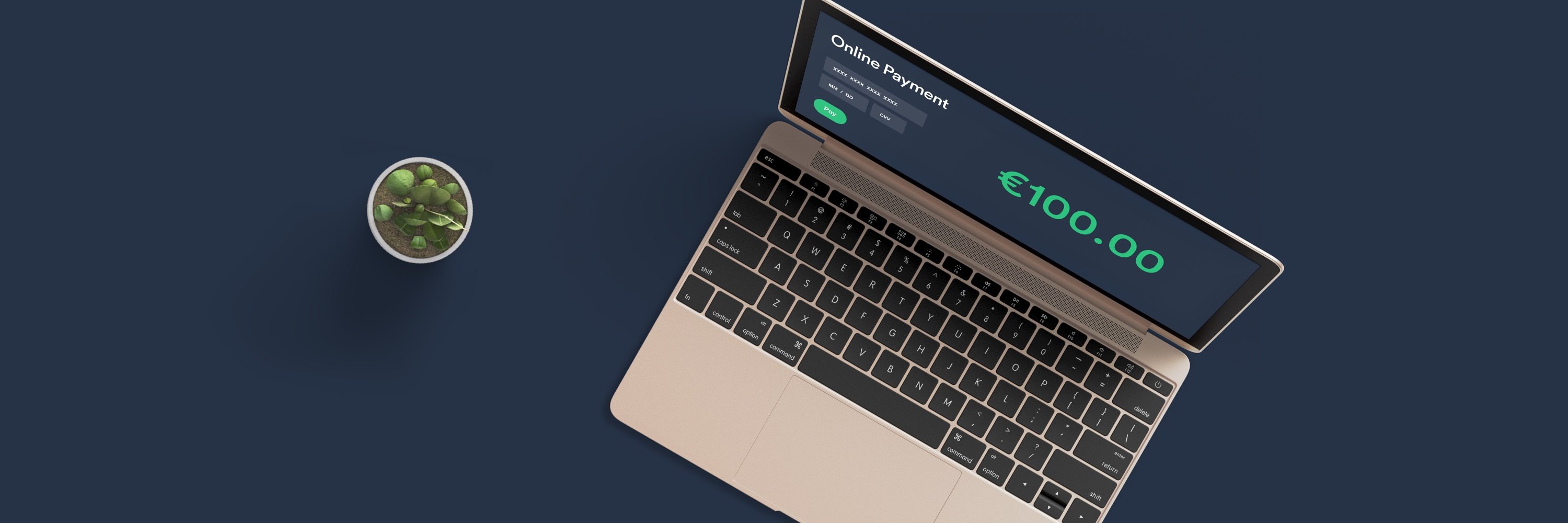 clearhaus's profile banner image