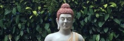 singhsiddh23's profile banner image