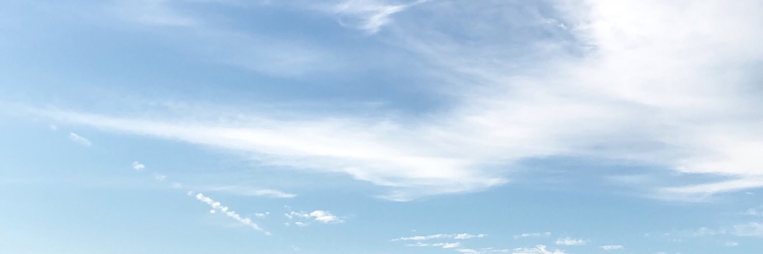 quinnbrewer's profile banner image