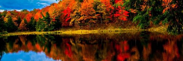 N_Chalifour Profile Banner