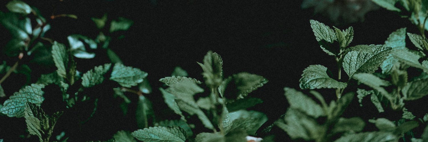 caamizeaa's profile banner image