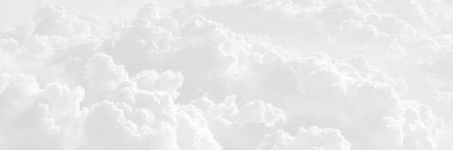 Rose Shaw 🌹 banner