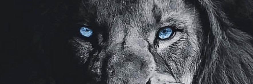 kucci23's profile banner image