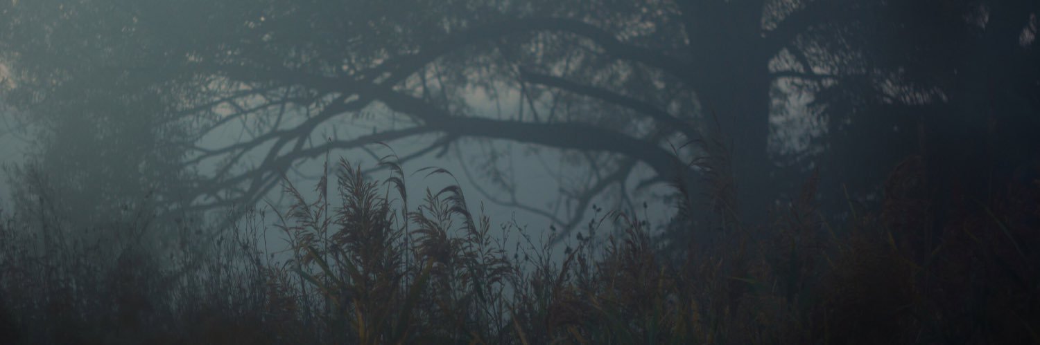 Kill_me_dear's profile banner image