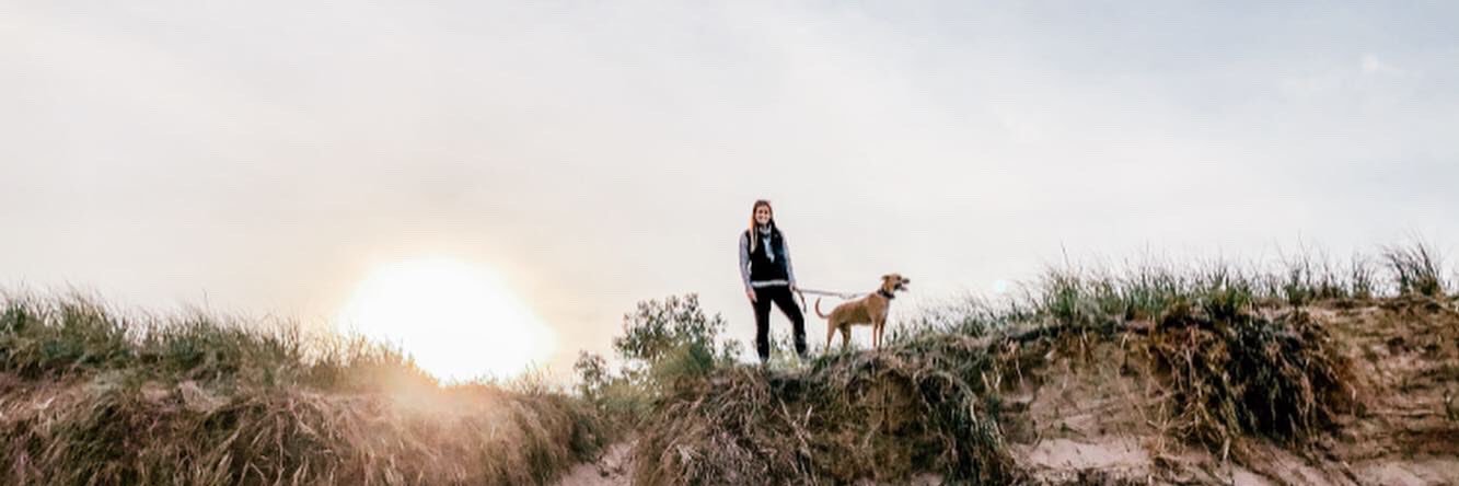 AlexWolkow's profile banner image