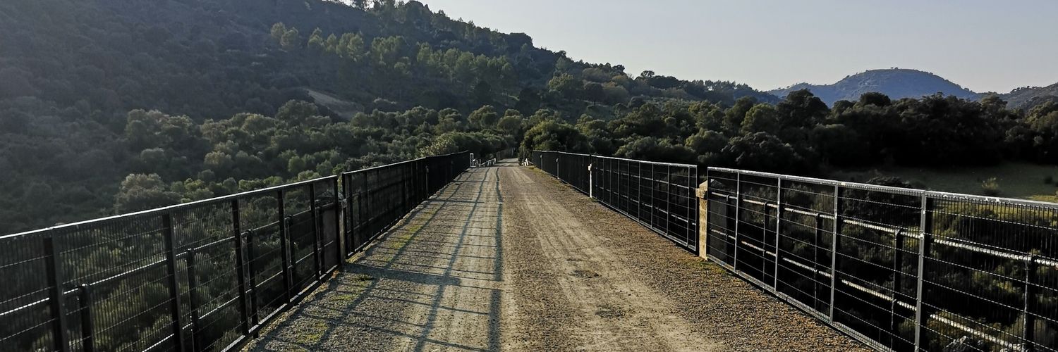 Francisco Vega banner