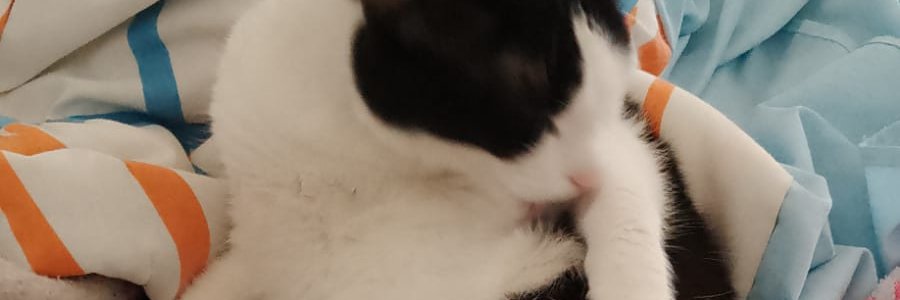 RamdomUser791's profile banner image